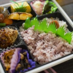 体にいいお弁当